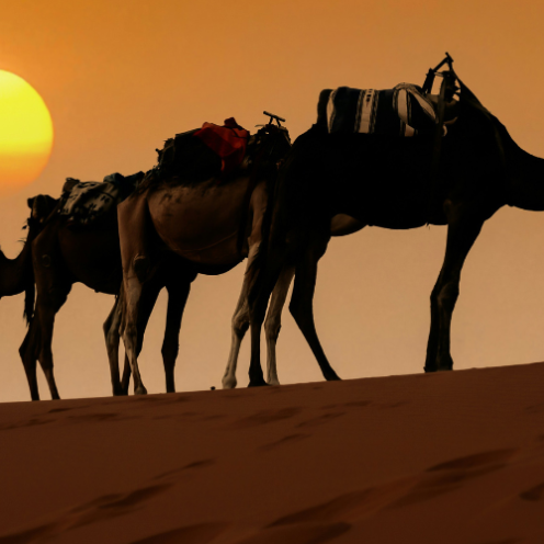 Marocco, famiglie in viaggio