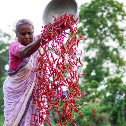 India